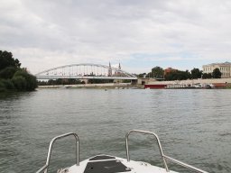 240907_harcsafogo_022