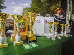 240907_harcsafogo_045