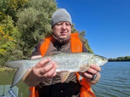 241012_csp_szeged_028_02