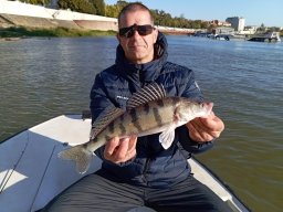 241012_csp_szeged_029