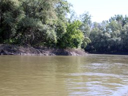 csonakos_pergeto_csongrad_037