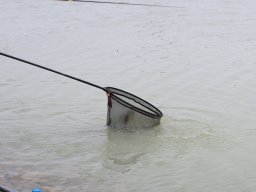 240622_hecsmsz_egyeni_018