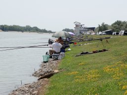 240622_hecsmsz_egyeni_058