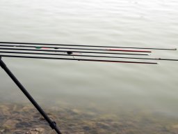 240622_hecsmsz_egyeni_117