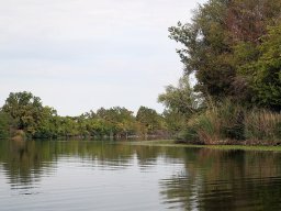 240916_ak_051