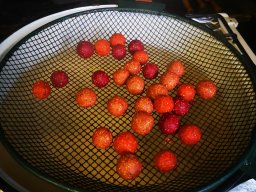 250715_atkatabor_009