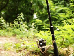 07.14-07.18_Atkai Holt-Tisza