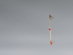 250811_martelytabor_108