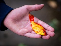 250707_horgasztabor_021