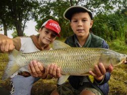 250707_horgasztabor_057