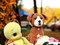 251018_halfesztival_002