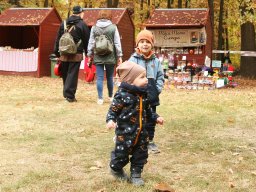 251018_halfesztival_011