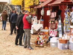 251018_halfesztival_015