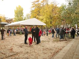 251018_halfesztival_017