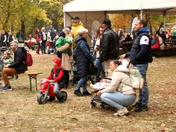 251018_halfesztival_022