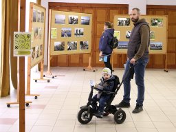 251018_halfesztival_033