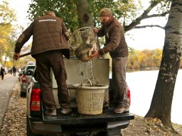 251018_halfesztival_063