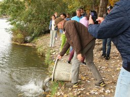 251018_halfesztival_065