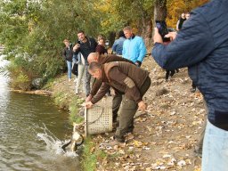 251018_halfesztival_066