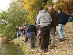 251018_halfesztival_069