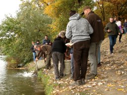251018_halfesztival_070
