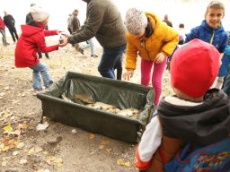 251018_halfesztival_071