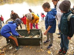 251018_halfesztival_072