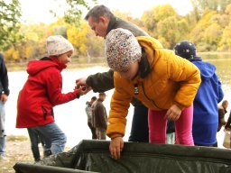 251018_halfesztival_073