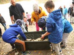 251018_halfesztival_074