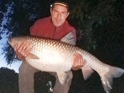 amur_17_3_koczkaslaszlo_2025