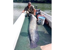 harcsa_80_graniczistvan_2025_02