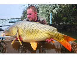 ponty_1530_csotidavid_2025