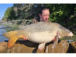 ponty_1620_pignicki_2025