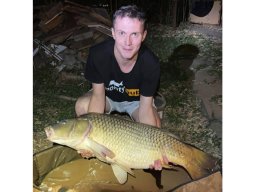 ponty_18_00_pappdavid_2025