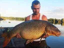 ponty_208_magonytibor_2025