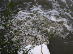 250325_p1_055