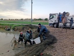 250407_pextra_002