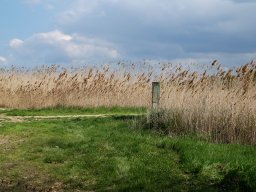 250407_pextra_005