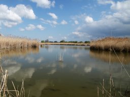 250407_pextra_006