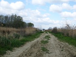 250407_pextra_008