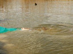 250407_pextra_012