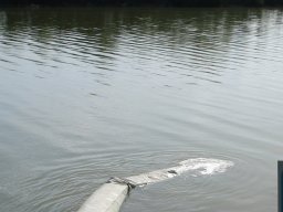 250423_kvegyes018