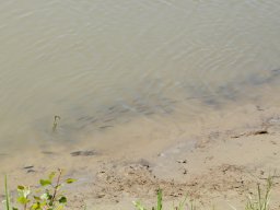 250429_m1_d1__029