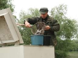 250508_k1_006