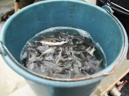 250508_k1_010