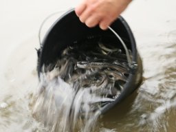 250508_k1_020