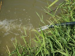 250526_sullo_006