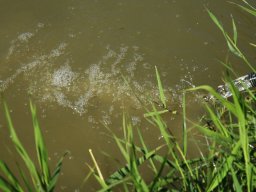 250526_sullo_007