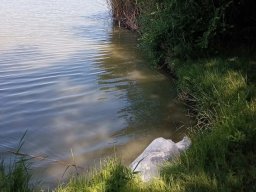 250526_sullo_016