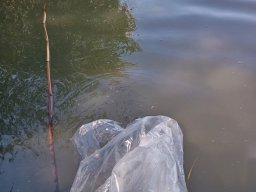 250526_sullo_017